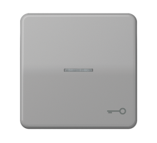 Клавиша с окошком и символом "ключ" для выключателей с подсветкой; серая  CD590KO5TGR  Jung