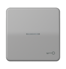 Клавиша с окошком и символом "ключ" для выключателей с подсветкой; серая  CD590KO5TGR  Jung