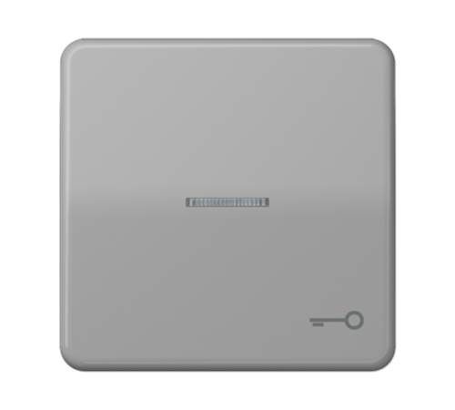 Клавиша с окошком и символом "ключ" для выключателей с подсветкой; серая  CD590KO5TGR  Jung