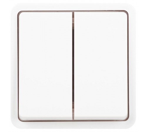 Выключатель 2-клавишный ЭРА Эксперт 11-1524-01 IP55, 10АХ-250В, СУ, Белый  Б0063271  ЭРА