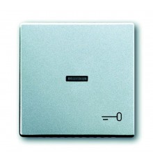 Клавиша для мех. 1-кл.выкл./перекл./кнопки, с символом "КЛЮЧ", серия solo/future, цвет серебристо-алюминиевый  1751-0-2953   2CKA001751A2953  ABB