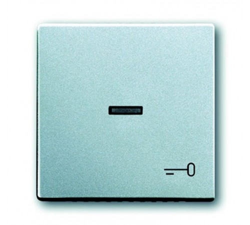 Клавиша для мех. 1-кл.выкл./перекл./кнопки, с символом "КЛЮЧ", серия solo/future, цвет серебристо-алюминиевый  1751-0-2953   2CKA001751A2953  ABB