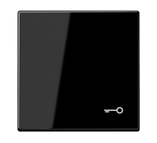 Клавиша для  выключателя с символом "замок"; белая  LS990TSW  Jung