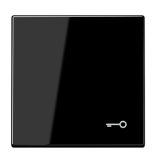 Клавиша для  выключателя с символом "замок"; белая  LS990TSW  Jung