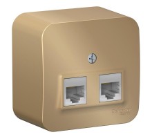 Blanca Титан О/У с изолирующей пластиной Титан Розетка 2-ая компьютерная RJ45, кат.5E,  BLNIA045454  SE