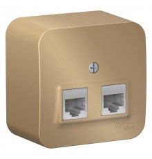 Blanca Титан О/У с изолирующей пластиной Титан Розетка 2-ая компьютерная RJ45, кат.5E,  BLNIA045454  SE