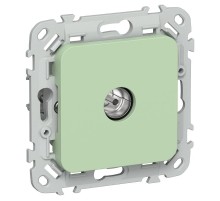 FLITE Розетка TV экран. проходная тип M РТВм-1-1-2-ФлФ фисташковый  FI-A13-P-K93  IEK