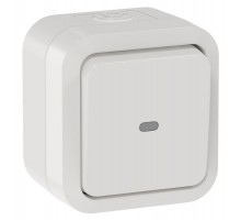 TORS Переключатель однокл. с ин. 10А IP55 TS302 белый  TS-V10-1-10-55-K01  IEK