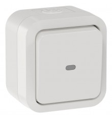 TORS Переключатель однокл. с ин. 10А IP55 TS302 белый  TS-V10-1-10-55-K01  IEK