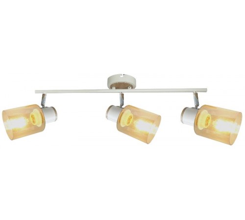 Светильник настенно-потолочный спот Jamilly 7057-703 3 х Е27 40 Вт поворотный  Б0054662  Rivoli