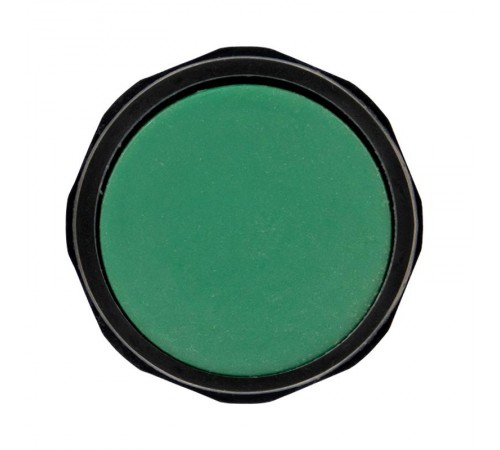 Кнопка SW2C-11 возвратная зеленая NO+NC EKF PROxima  sw2c-11s-g  EKF