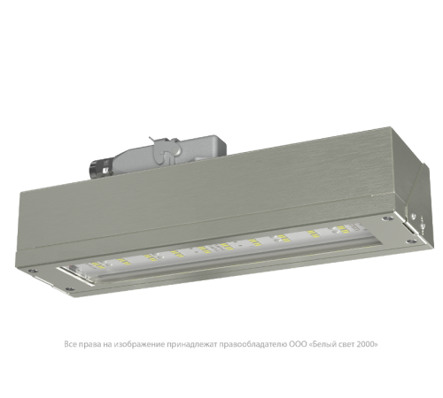 Указатель аварийный светодиодный BS-DBU-10-L2-ELON 10,6Вт централизованный накладной IP66  a18759  Белый свет