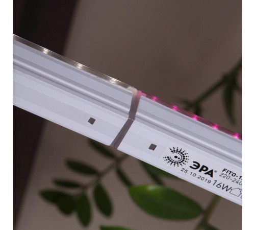 Светильник светодиодный для растений красно-синий спектр ЭРА FITO-16W-Т5-N  Б0045233  ЭРА