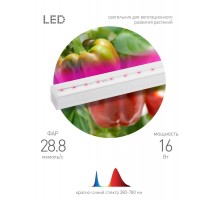 Светильник светодиодный для растений красно-синий спектр ЭРА FITO-16W-Т5-N  Б0045233  ЭРА