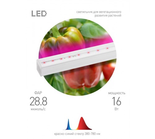 Светильник светодиодный для растений красно-синий спектр ЭРА FITO-16W-Т5-N  Б0045233  ЭРА