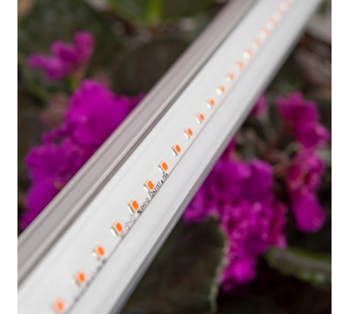 Светильник светодиодный для растений красно-синий спектр ЭРА FITO-9W-Т5-N  Б0045231  ЭРА