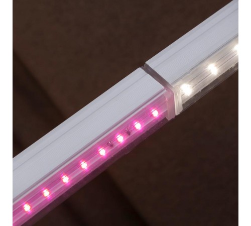 Светильник светодиодный для растений красно-синий спектр ЭРА FITO-16W-Т5-N  Б0045233  ЭРА