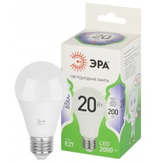 Лампа светодиодная  GREEN LINE LED A60-20W-865-E27 GL E27 20 Вт груша холодный свет  Б0067102  ЭРА