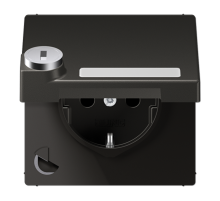 SCHUKO розетка с крышкой и полем для надписи AL1520NAKLSLAN Jung