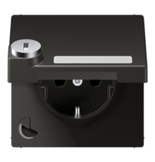 SCHUKO розетка с крышкой и полем для надписи AL1520NAKLSLAN Jung