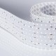 Лента светодиодная S2-2500 24V White 6000K 85mm (2835, 560 LED/m, LUX)  023408  Arlight