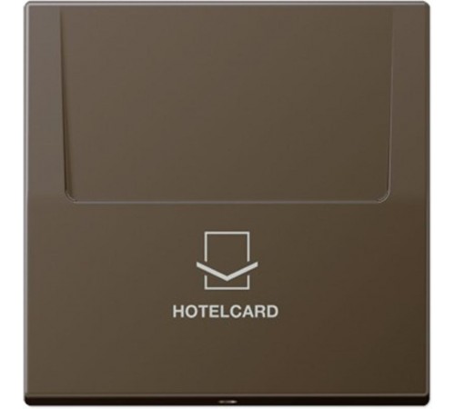 Накладка-картодержатель для балансирных механизмов 531U, 532U, 533U, 534U; термопласт; латунь antik; Messing  ME2990CARDAT  Jung