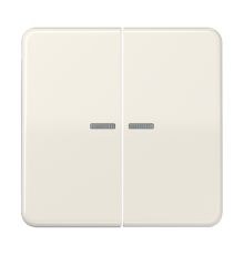Клавиши для сдвоенных выключателей с подсветкой; слоновая кость  CD595KO5  Jung