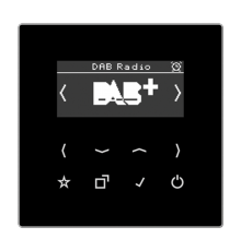 Цифровое радио DAB + DABLSSW Jung