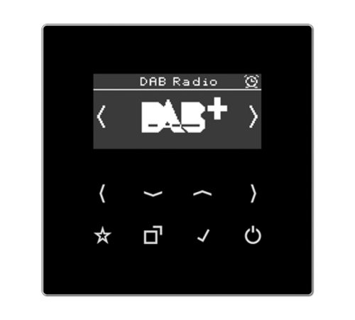 Цифровое радио DAB + DABLSSW Jung