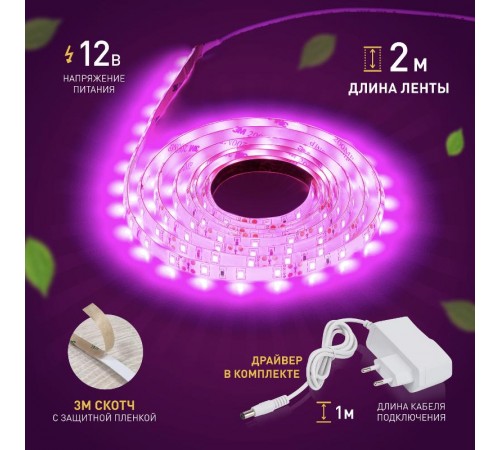 Светодиодная лента для растений FITO-Strip Light-RB-2m красно-синего спектра, 2 м, IP65  Б0057282  ЭРА