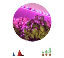 Светодиодная лента для растений FITO-Strip Light-RB-2m красно-синего спектра, 2 м, IP65  Б0057282  ЭРА