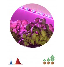Светодиодная лента для растений FITO-Strip Light-RB-2m красно-синего спектра, 2 м, IP65  Б0057282  ЭРА