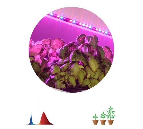 Светодиодная лента для растений FITO-Strip Light-RB-2m красно-синего спектра, 2 м, IP65  Б0057282  ЭРА
