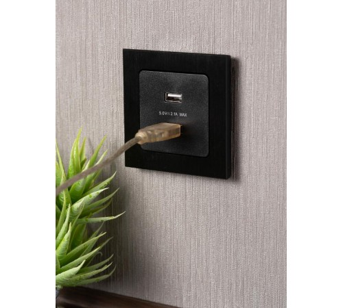Стокгольм Механизм Розетки USB 2-местной 2,1А черный PROxima  EZR16-028-10-2USB  EKF