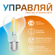 Лампа светодиодная филаментная Smart Home DIM+CCT E27 A60 6,5Вт 2000-6500 К 1/10/40  1220112  Gauss