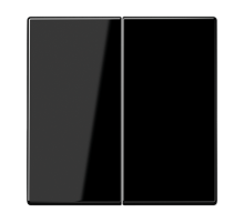 Центральная плата 2 группы стандарт; дюропласт; черный LS1702SW Jung