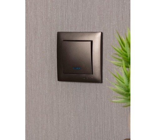 Валенсия лицевая панель выключателя 1-кл. с индикатором 10А графит EKF PROxima   ESV10-L-121-60   EKF