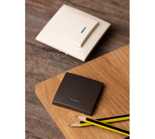 Валенсия лицевая панель выключателя 1-кл. с индикатором 10А графит EKF PROxima   ESV10-L-121-60   EKF