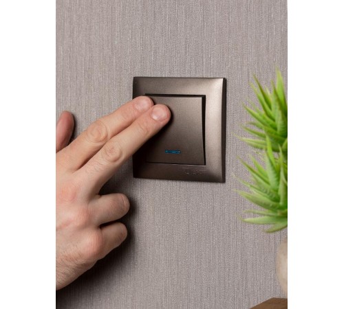 Валенсия лицевая панель выключателя 1-кл. с индикатором 10А графит EKF PROxima   ESV10-L-121-60   EKF