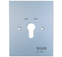 Металлическая крышка 125100 мм с символами; алюминий  4.28WUG  Jung