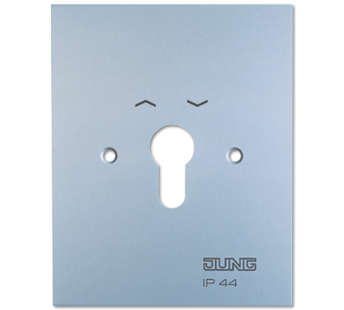 Металлическая крышка 125100 мм с символами; алюминий  4.28WUG  Jung