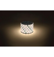 Лента светодиодная  LS5050 -14,4-60-12-3000K-IP65-1 year-5m теплый белый 5м  Б0059912  ЭРА