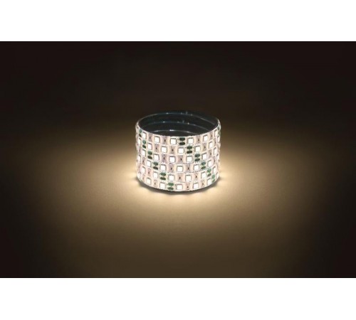 Лента светодиодная  LS5050 -14,4-60-12-3000K-IP65-1 year-5m теплый белый 5м  Б0059912  ЭРА