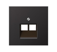 Накладка на двойные UAE-розетки; термопласт; черный матовый EP569-2BFPLUASWM Jung