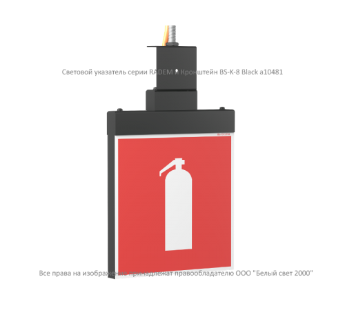 Световой указатель аварийного освещения BS-RADEM-10-S1-24 Black  a15560  Белый свет