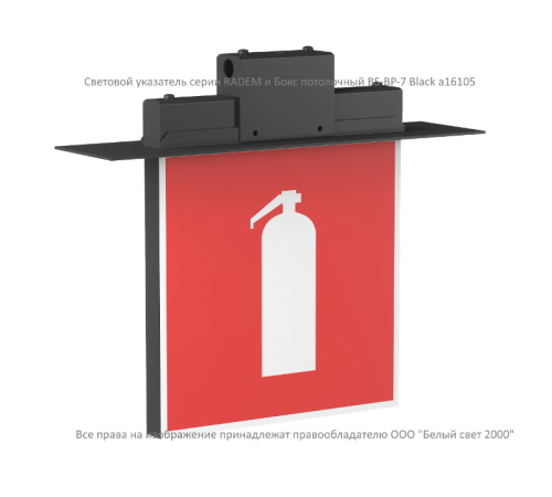 Световой указатель аварийного освещения BS-RADEM-10-S1-24 Black  a15560  Белый свет