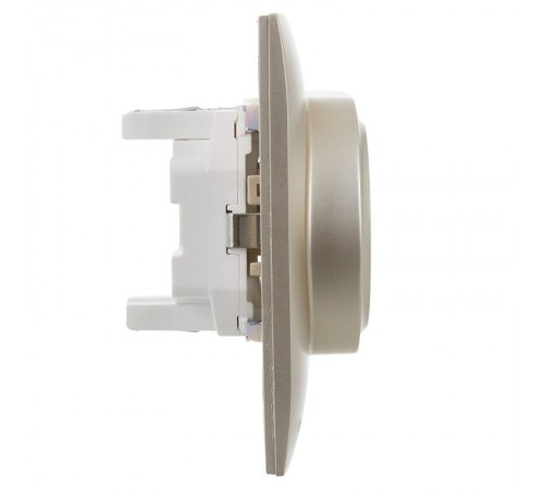 SKANDY Розетка 2-местная с з/к без з/ш 16А сб. SK-R08Sh шампань  SK-R21-16-K37-F  IEK