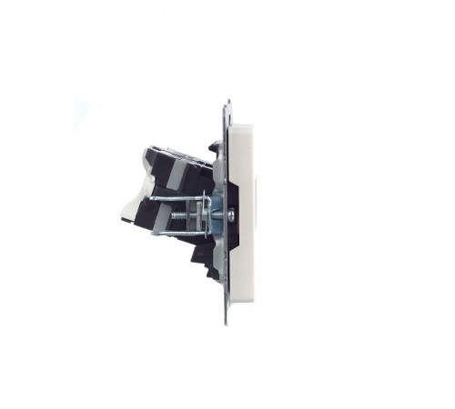 BRITE Розетка компьютерная 2-ая RJ45 кат.5E РК10-2-БрЖ жемчужный   BR-K20-1-K36  IEK