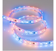 Светодиодная лента герметичная SPI-P-B60-12mm 12V RGB-PX3 (14.4W/m, IP66, 5060, 5m) (Arlight, бегущий огонь)  026365(3)  Arlight