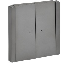 FORTE&PIANO Выключатель 2-клавишный с индикацией 10А FP506 сталь  FP-V20-1-10-1-K46  IEK